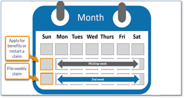 A representation of a calendar showing when to apply for benefits or restart a claim, and when to file for a weekly claim. The image is a representation of the article's text.